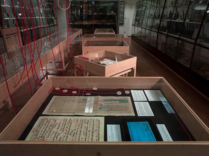 A Storm is Blowing_CathyHaynes_©Sue Barr_small cases