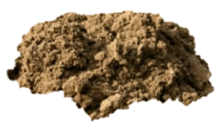 The ideal habitat of the&nbsp;Mole