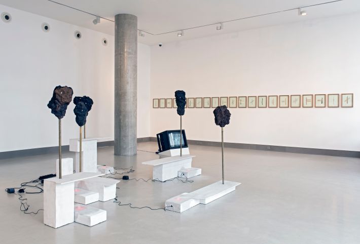 Overlay_White_Rainbow_2016